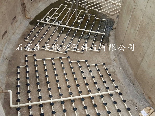 微孔曝氣盤案例 